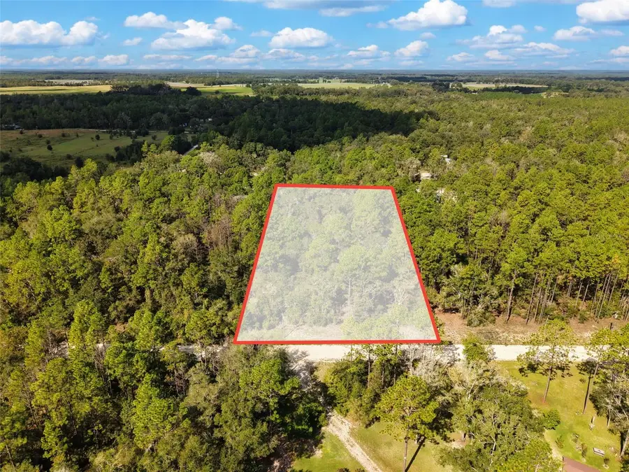6339 NW 17th Court, Bell, FL 32619 - #2
