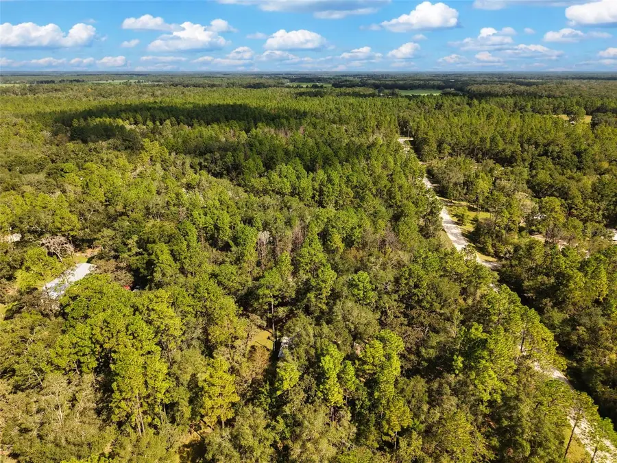 6339 NW 17th Court, Bell, FL 32619 - #3