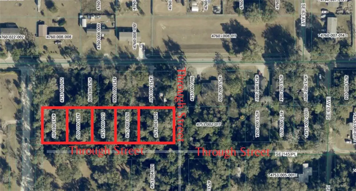 Se 145th Place, Summerfield, FL 34491 - #1