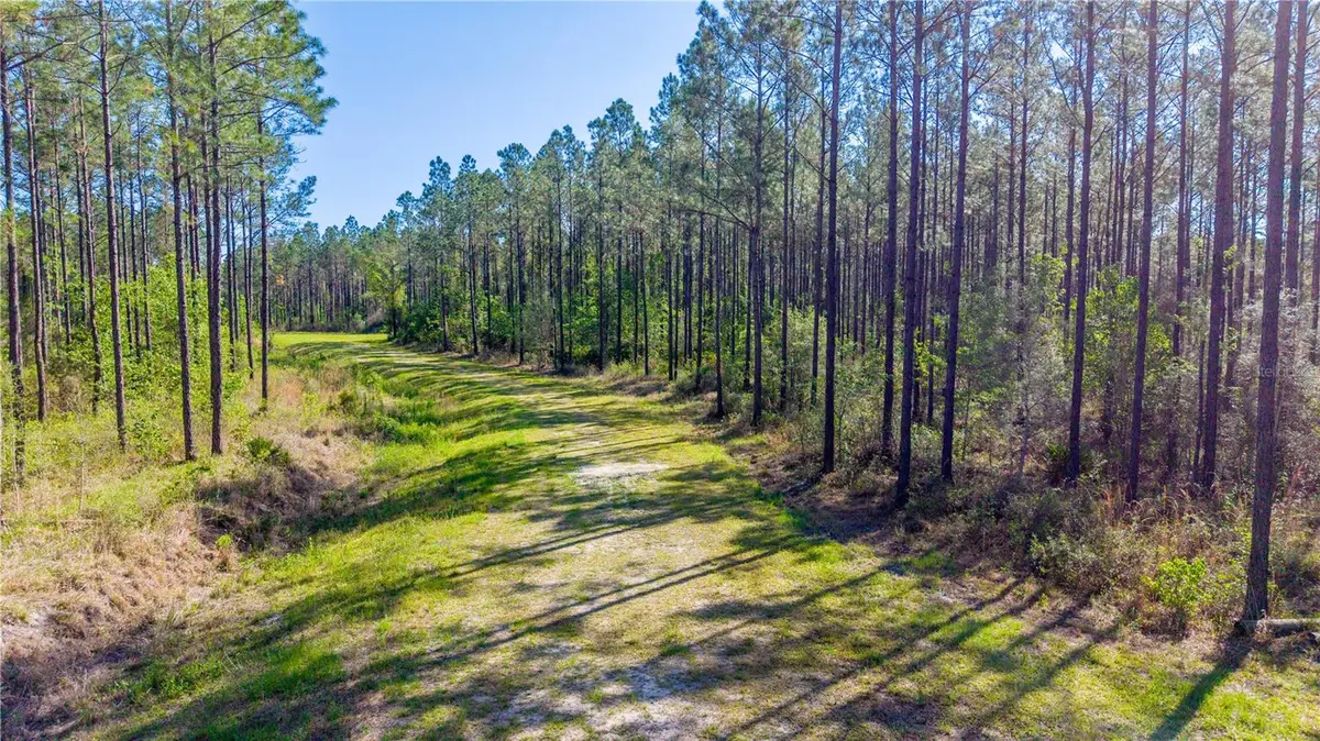 Nw 57th Lane, Starke, FL 32091 - #1