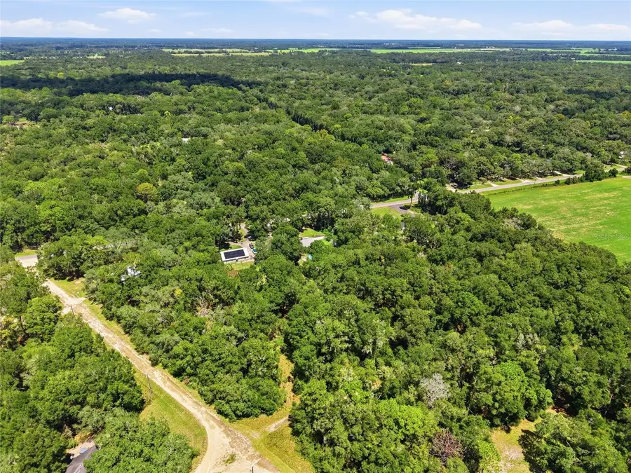 Lot 13 NW 164th Street, Fanning Springs, FL 32693 - #2