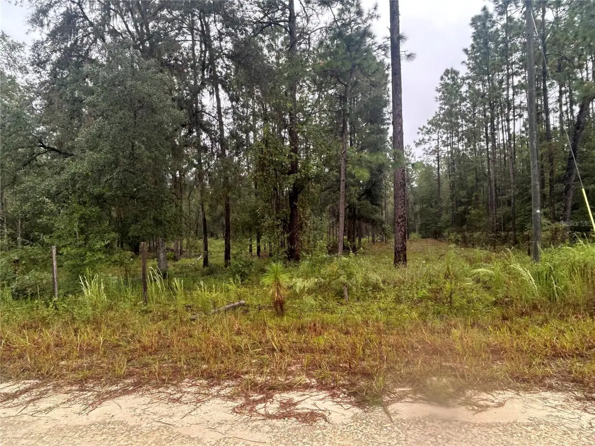 TBD NE 111th Lane, Bronson, FL 32621 - #1