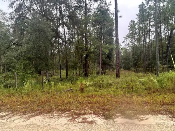TBD NE 111th Lane, BRONSON, FL 32621