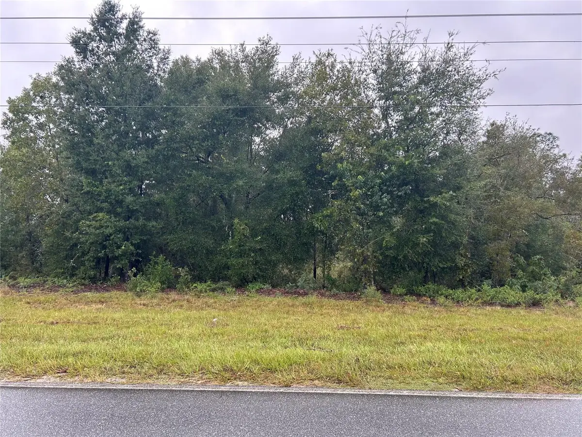 TBD NE 110th Street, Bronson, FL 32621 - #1
