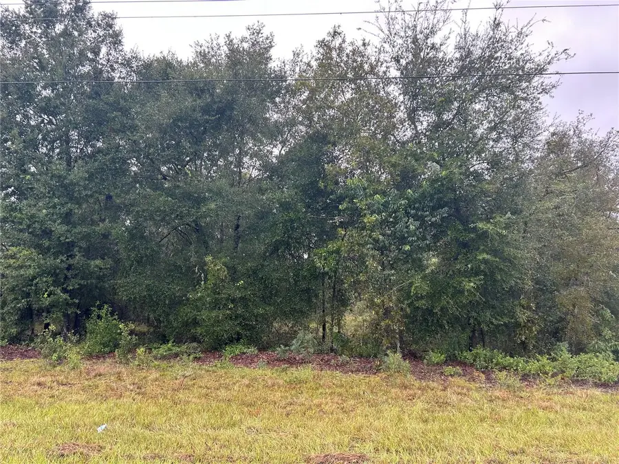 TBD NE 110th Street, Bronson, FL 32621 - #2