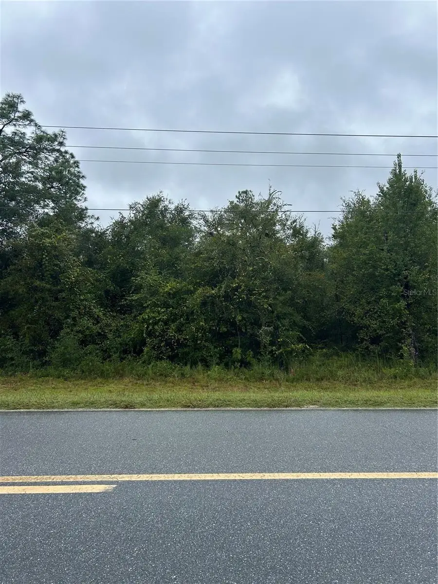 TBD NE 80th Avenue, Bronson, FL 32621 - #1