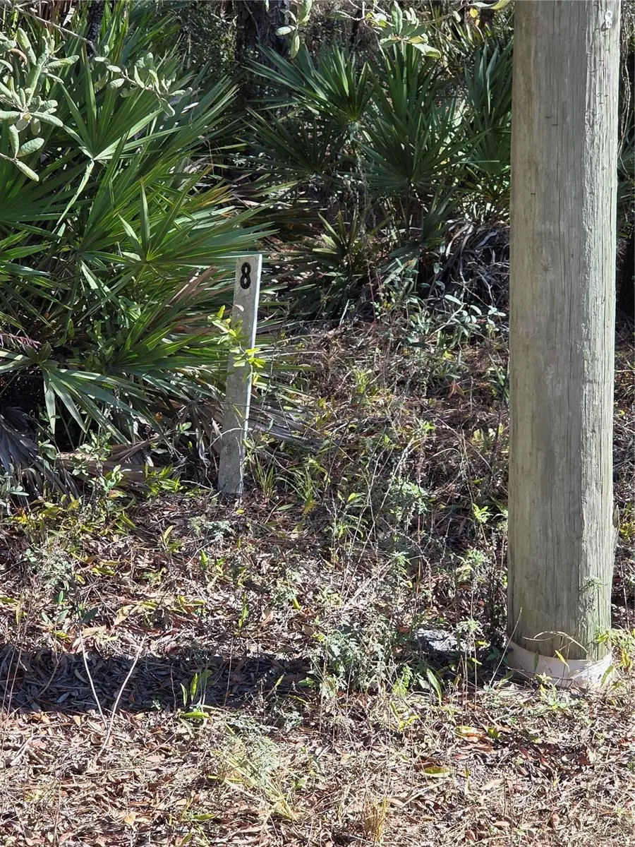 1351 R E Byrd Rd, Frostproof, FL 33843 - Image #2