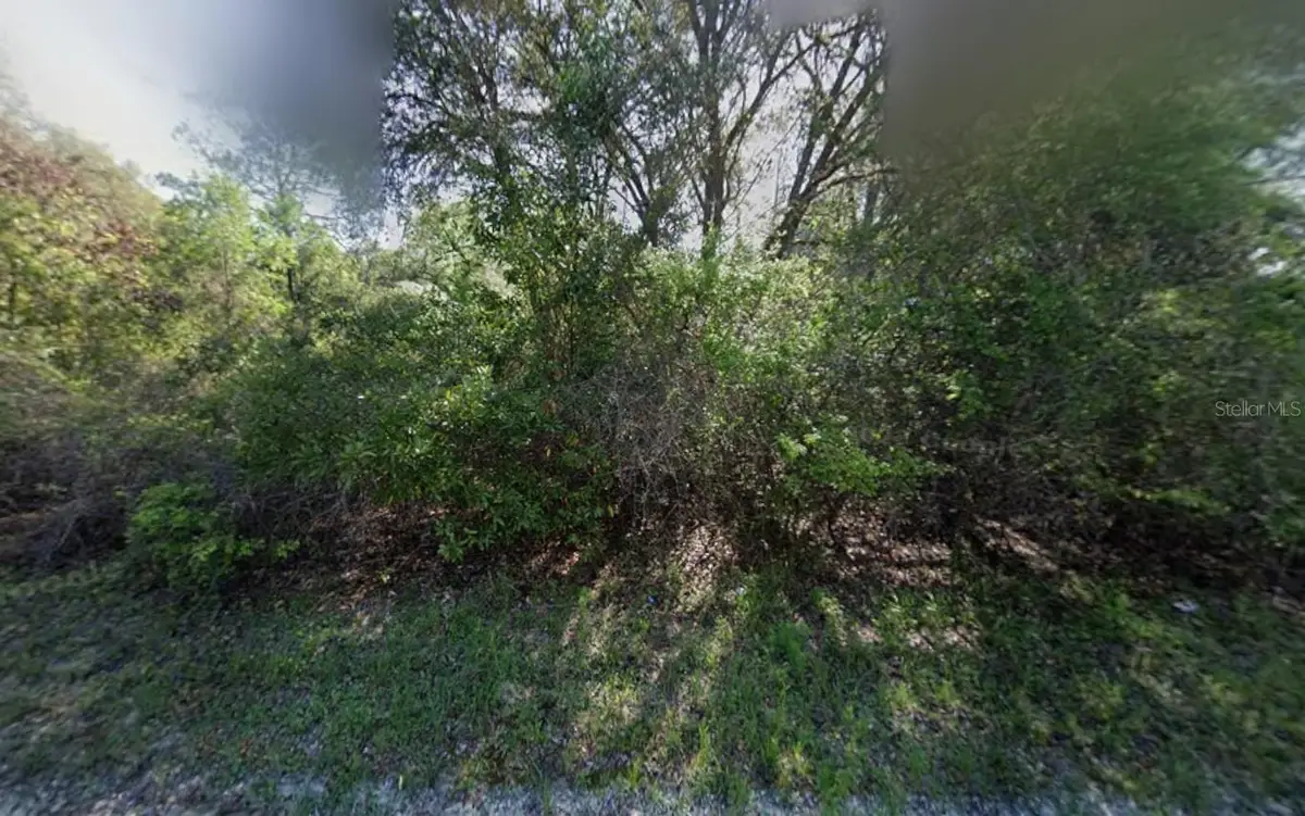 NE 799th Street, Old Town, FL 32680 - Image #1