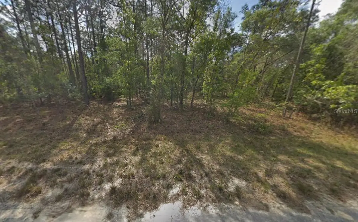 Resort Avenue, Weeki Wachee, FL 34614 - Image #1