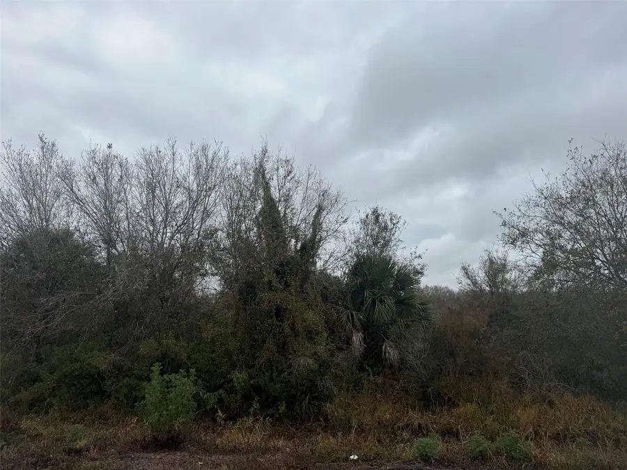 18923 NW 240th Street, Okeechobee, FL 34972 - #3