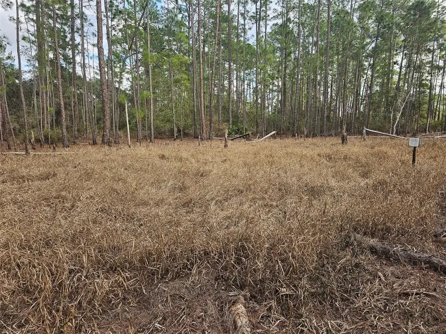 Chinaberry Street, Eustis, FL 32736 - Image #2