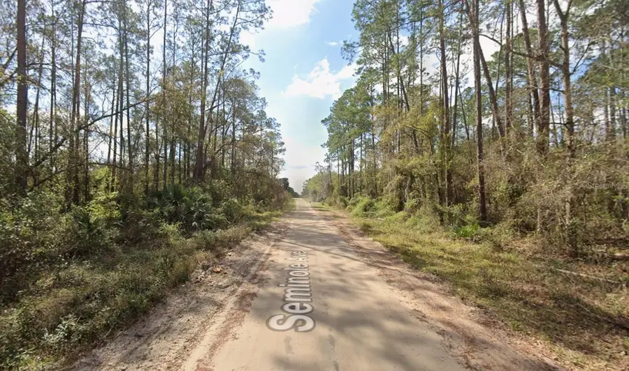 Seminole Avenue, Interlachen, FL 32148 - #2