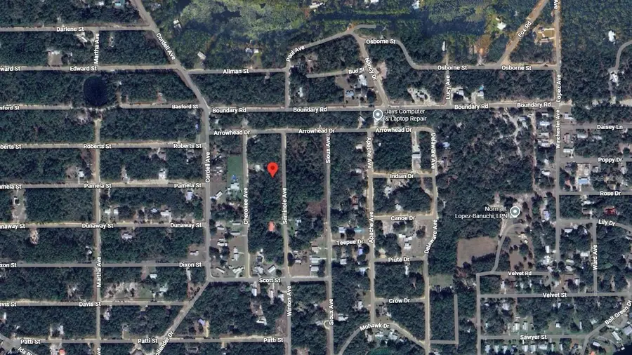Seminole Avenue, Interlachen, FL 32148 - #3