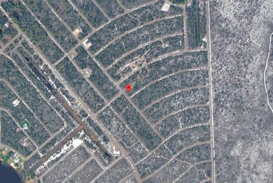 3131 Kennedy Avenue, Lake Placid, FL 33852 - Image #3