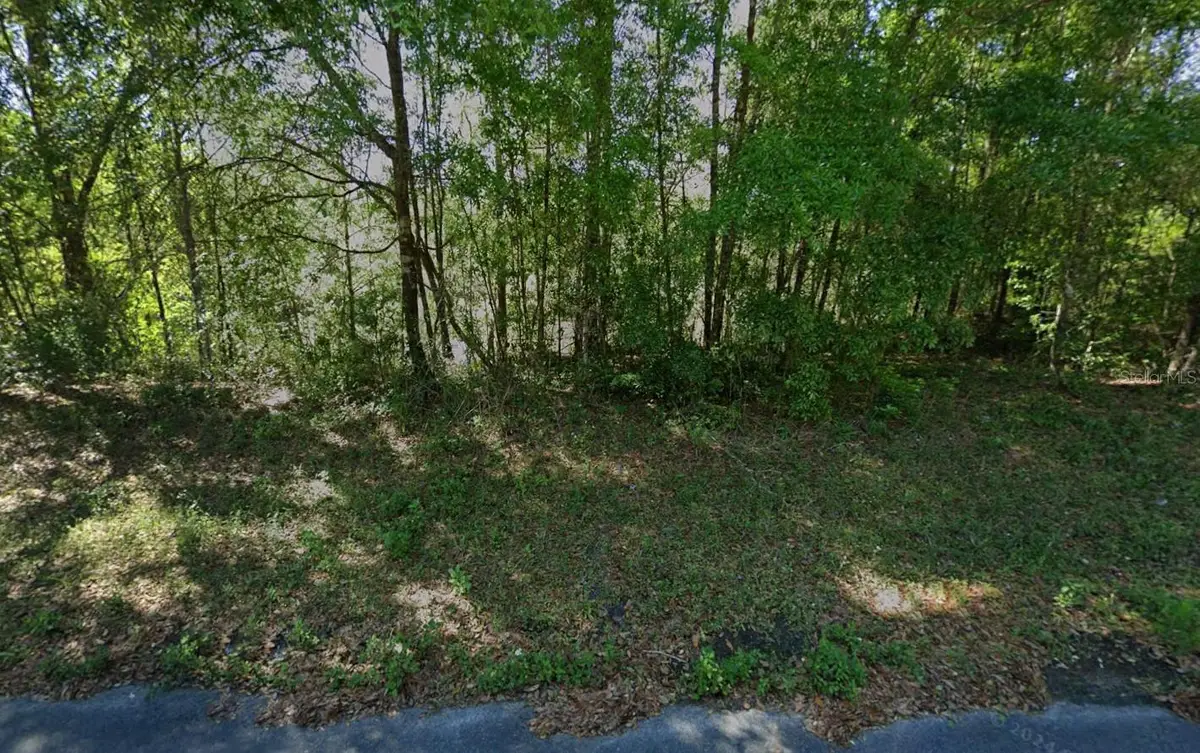 212 Dolphin Circle, Middleburg, FL 32068 - #1