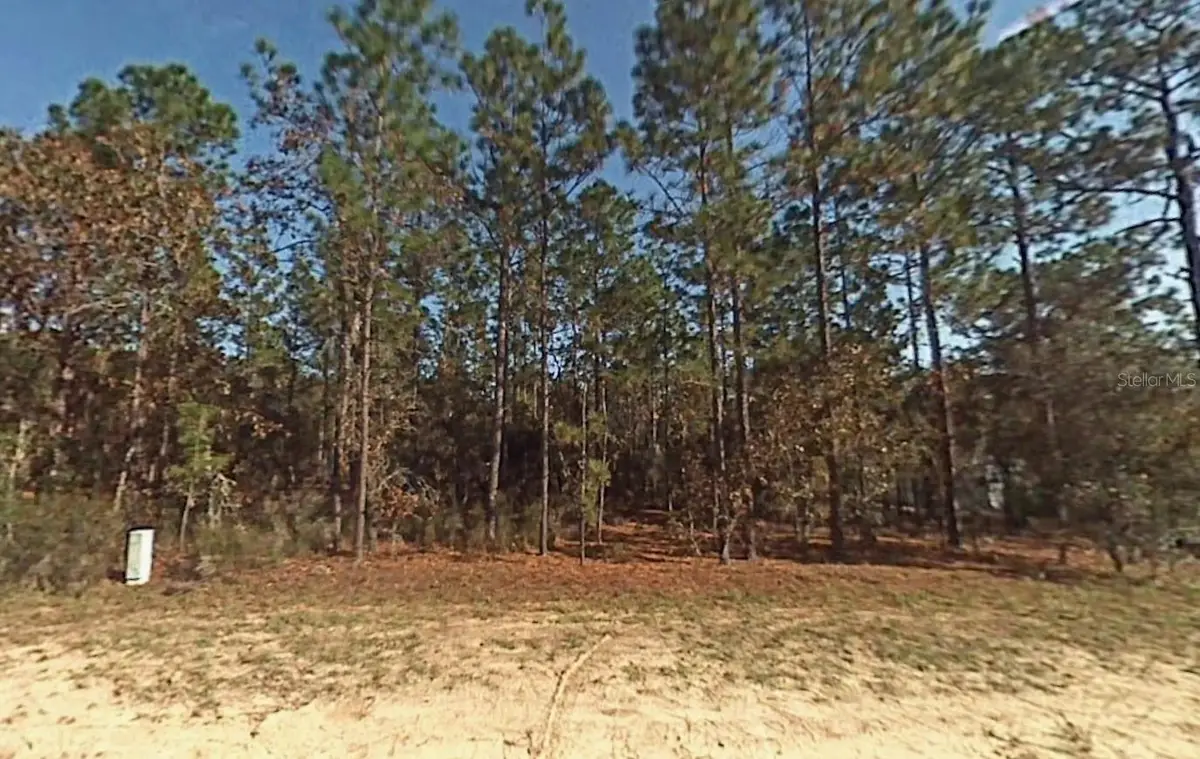 Lot 5 SW 166th Court Road, Dunnellon, FL 34432 - #1