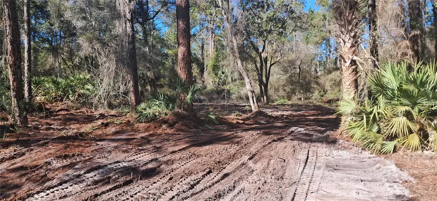 120 Gardenia Avenue, Georgetown, FL 32139 - #2