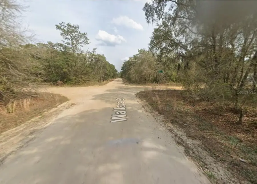 LOT 18 Wallace Street, Interlachen, FL 32148 - #2