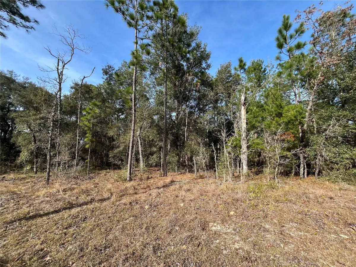 6168 Emory Avenue, Keystone Heights, FL 32656 - #1