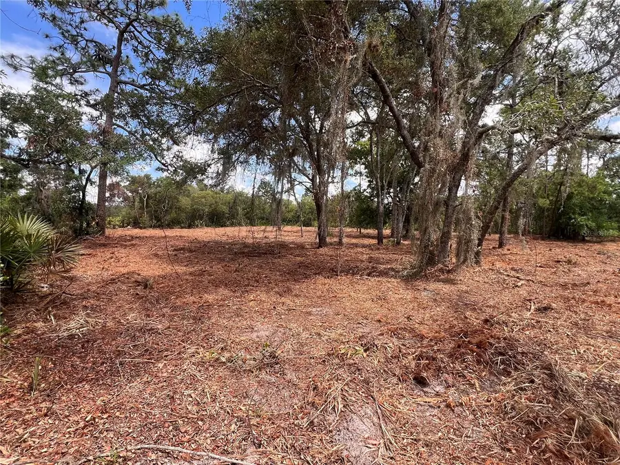 Deer Road, Frostproof, FL 33843 - #2
