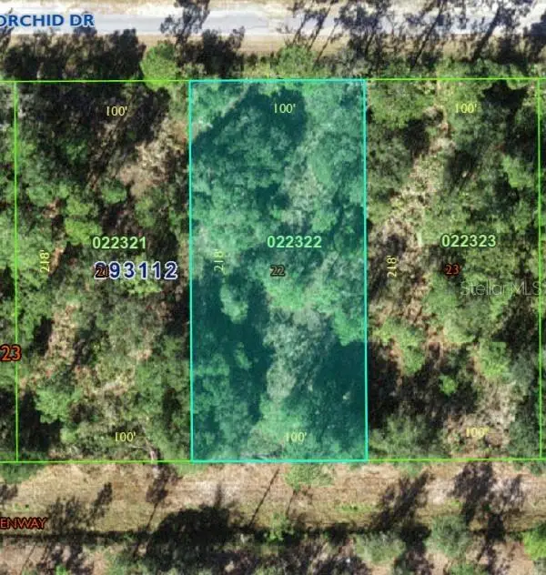 905 Orchid Dr, Indian Lake Estates, FL 33855 - #1