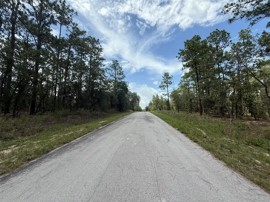 TBD Tree Top Road, Dunnellon, FL 34431 - #2