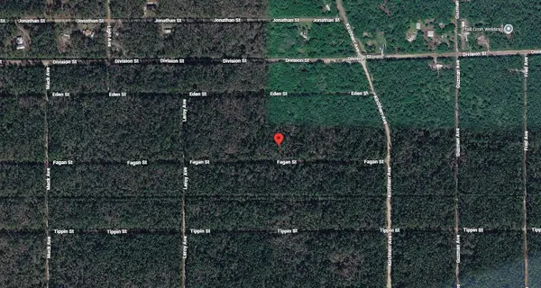 Fagan Street, HASTINGS, FL 32145