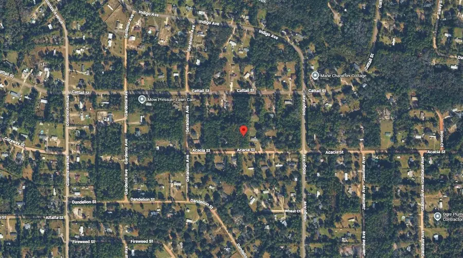 4818 Acacia Street, Middleburg, FL 32068 - #3