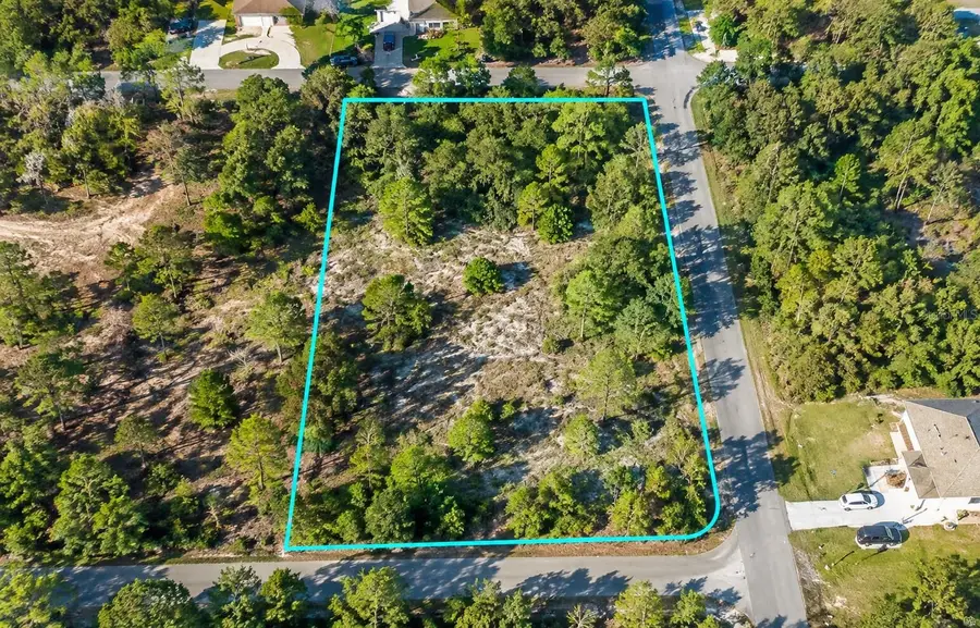 12194 Labrador Duck Road, Brooksville, FL 34614 - #2