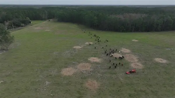 Berry Groves Rd Drive, CLERMONT, FL 34714