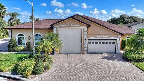 421 Travelers Drive, POLK CITY, FL 33868