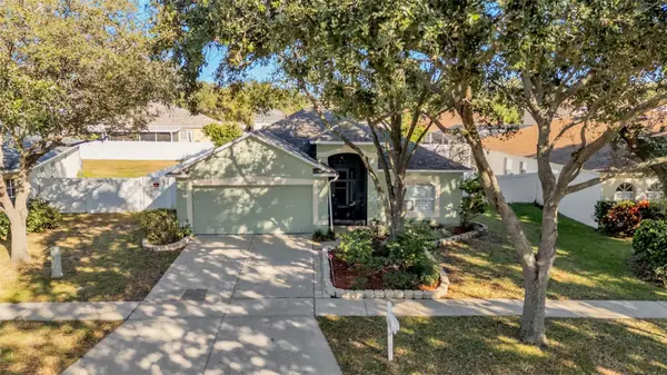 2729 Pankaw Lane, VALRICO, FL 33596