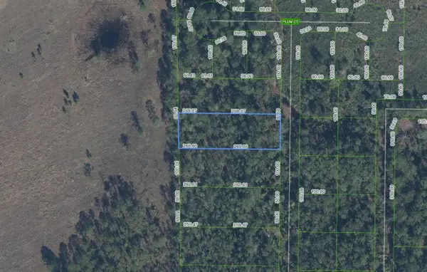 4705 Rhubarb Street, SEBRING, FL 33875