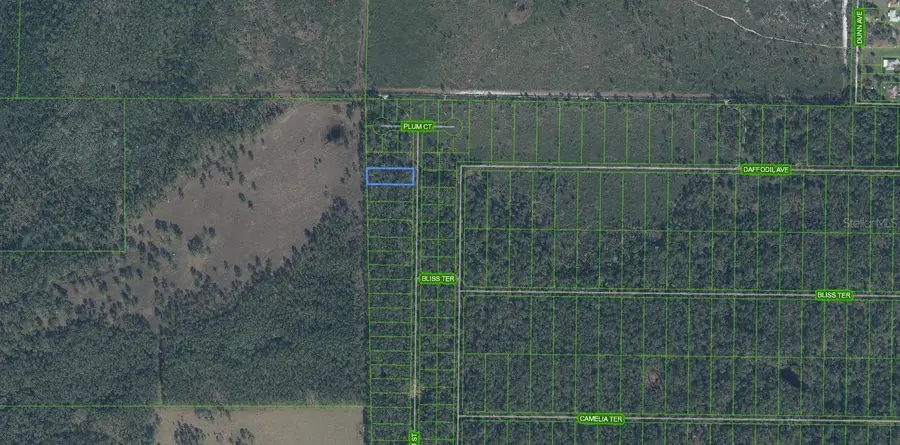 4705 Rhubarb Street, Sebring, FL 33875 - Image #2