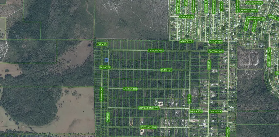 4817 Palm Road, Sebring, FL 33875 - Image #3