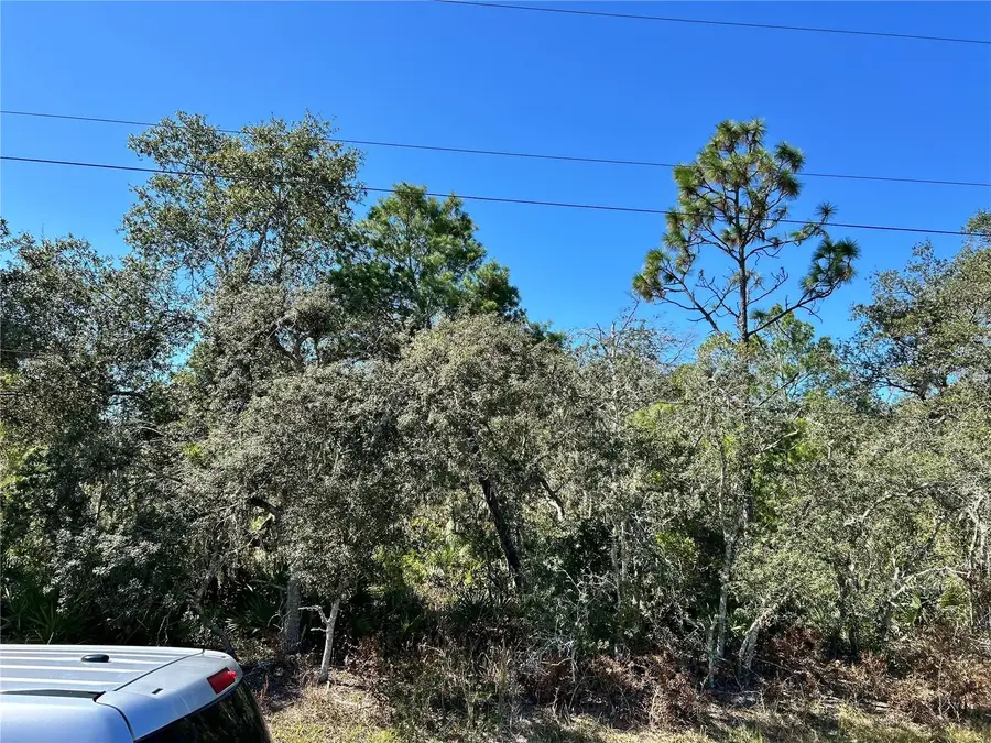 Woodstork Way, Frostproof, FL 33843 - Image #3