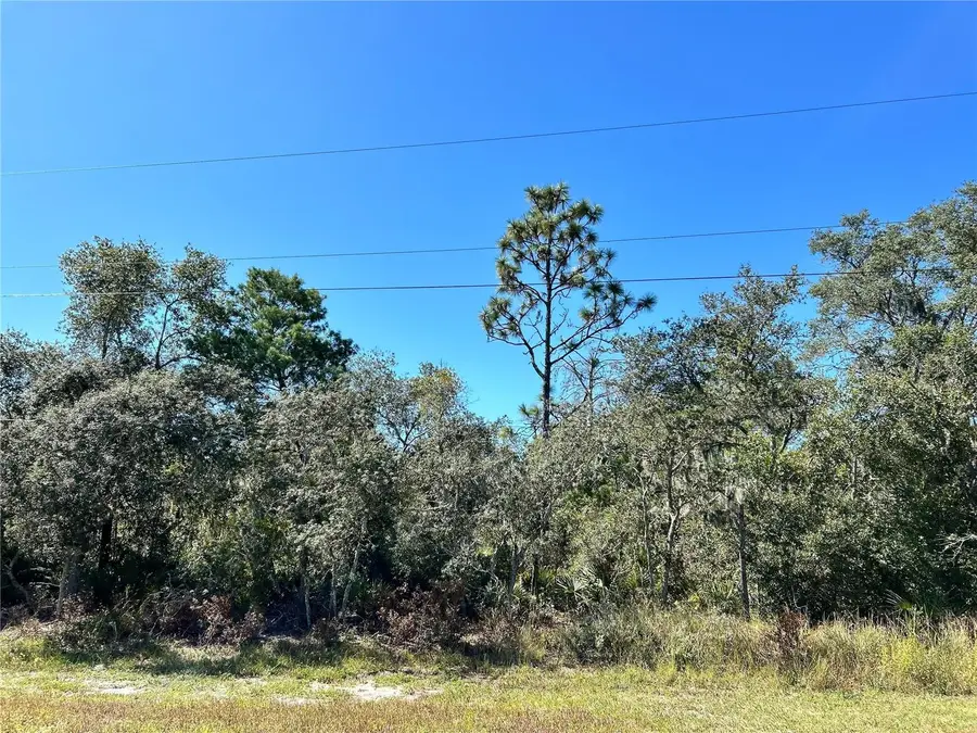 Woodstork Way, Frostproof, FL 33843 - Image #2