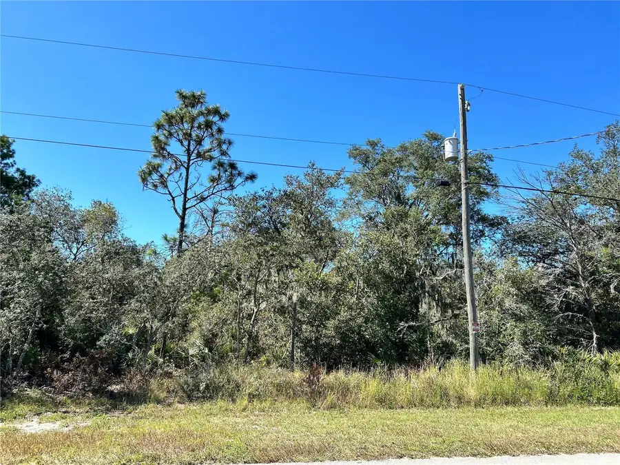 Woodstork Way, Frostproof, FL 33843 - Image #3