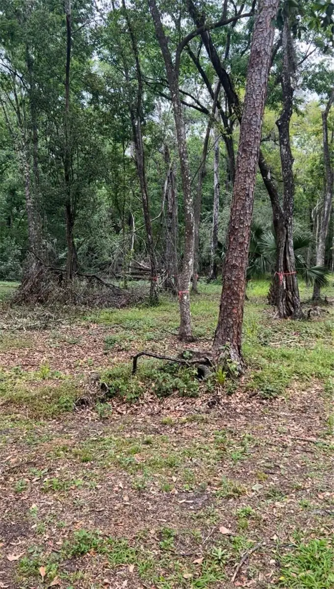 4520 E Saddle Creek Farm Road, Lakeland, FL 33801 - Image #3