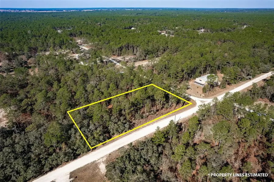 00 SW 75th, Dunnellon, FL 34432 - Image #3
