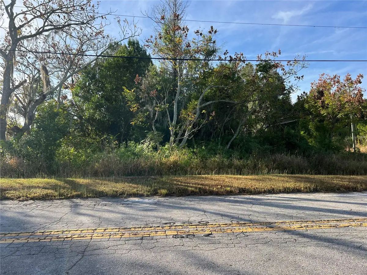 0 5th Avenue, Babson Park, FL 33827 - Image #1