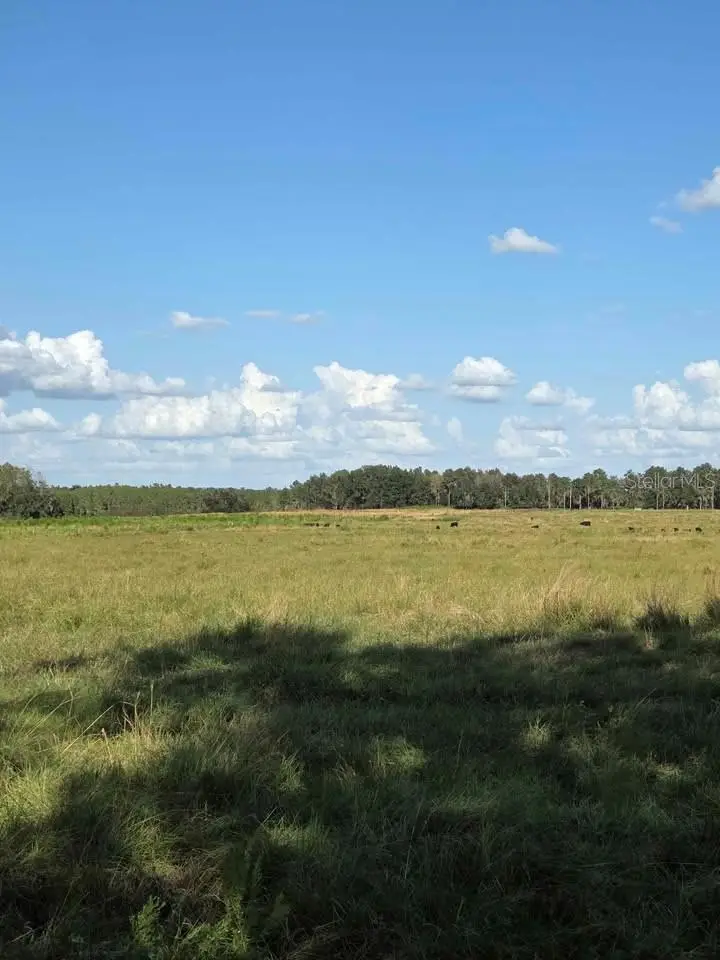 Address Withheld By Seller, Fort Meade, FL 33841 - Image #2