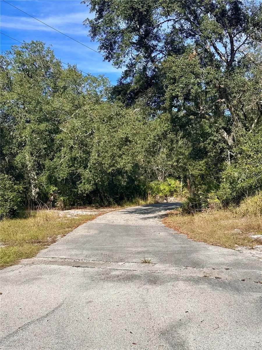 4125 Tiger Creek Trl, Lake Wales, FL 33898 - Image #2