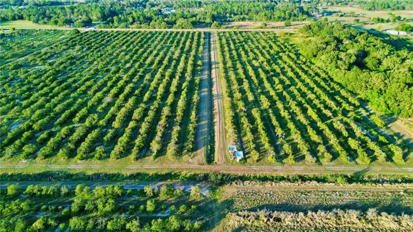 2233 Hicks Road, LORIDA, FL 33857