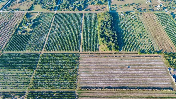 1050 Arbuckle Creek Road, LORIDA, FL 33857