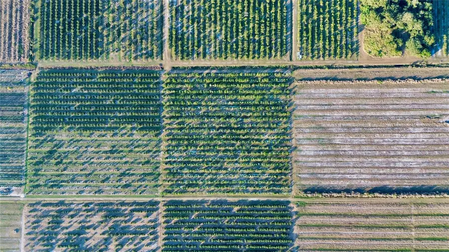 1050 Arbuckle Creek Road, Lorida, FL 33857 - Image #3