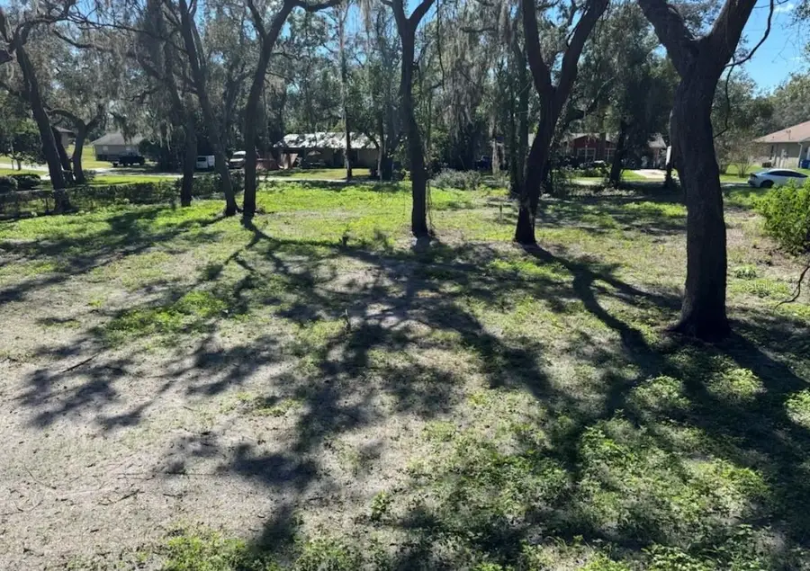 34779 Hibiscus Drive, Dade City, FL 33523 - Image #2