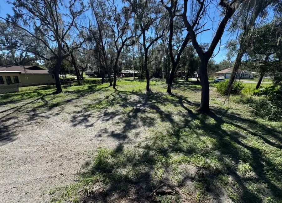 34779 Hibiscus Drive, Dade City, FL 33523 - Image #3