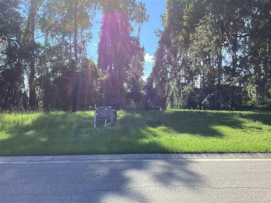 4625 Majestic Hills Loop, Brooksville, FL 34601 - #2