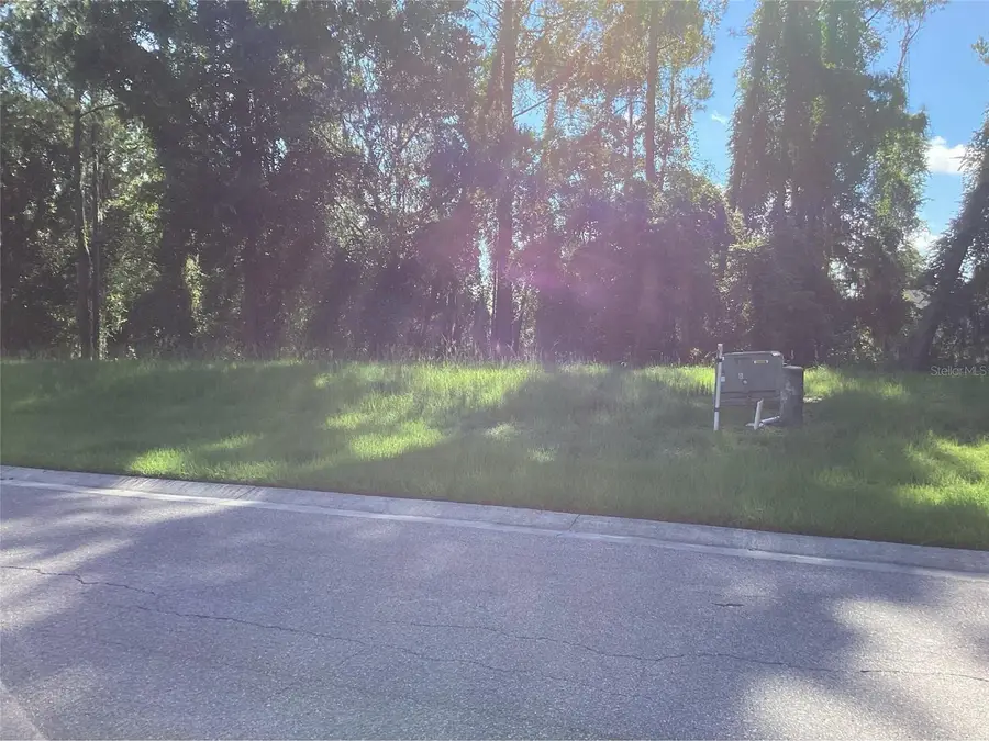 4625 Majestic Hills Loop, Brooksville, FL 34601 - #3